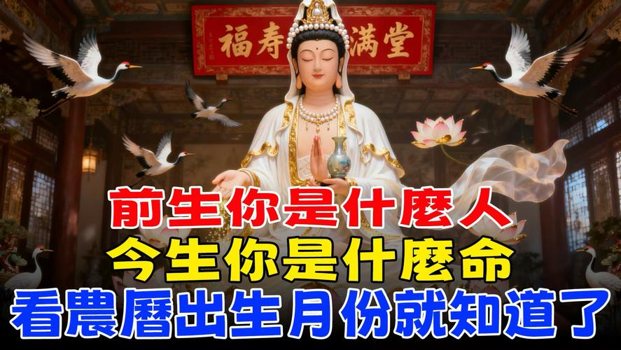 揭秘前世今生：查你的前世，看懂今生命运的秘密