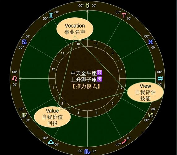 狮子座领导力岗位推荐_狮子座最佳职业选择_适合狮子座的职业
