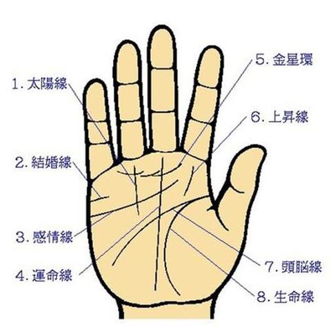 手相实例_生命线短浅智慧线分叉分析_看手相掌纹解读