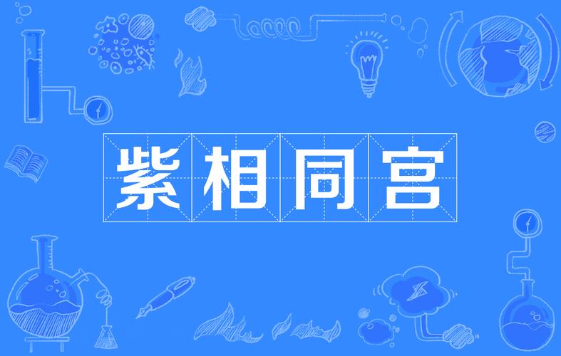 紫微斗数排盘步骤详解_紫微斗数怎样排盘_紫微斗数怎么排盘