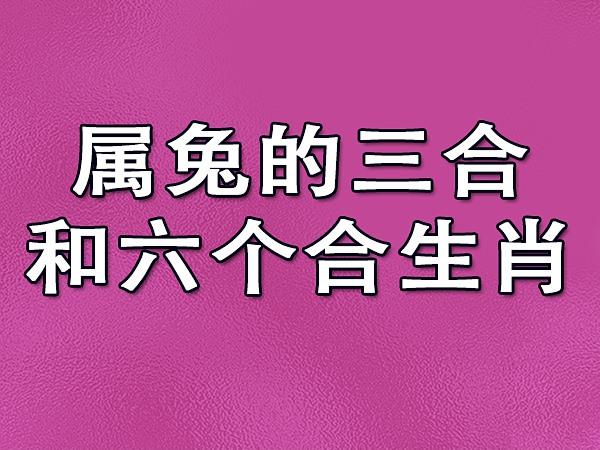 2026年属猪的事业贵人_属猪2026年事业运势详解_2026年属猪事业贵人分析
