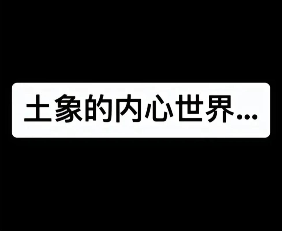 金牛座安全感缺乏_土象星座的安全感_处女座物质安全感需求