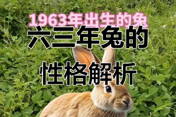 63年属兔男性会出轨妻子吗