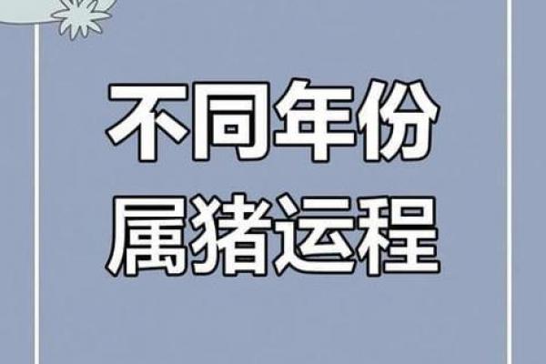 属猪者2026年创业运势分析及马年事业发展展望
