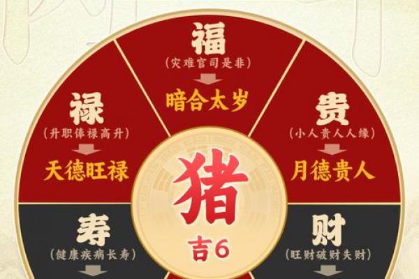 属猪者2026年创业运势分析及马年事业发展展望