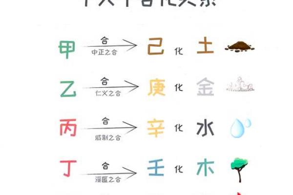 天干五合详解