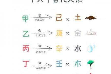 天干五合详解