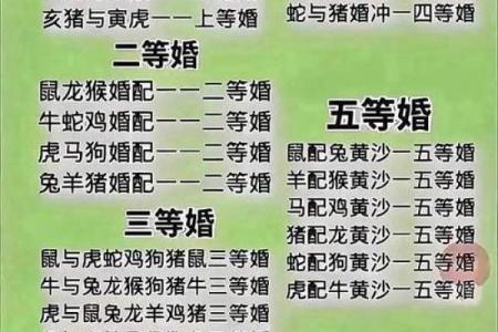 属鼠者最佳婚配生肖是哪个