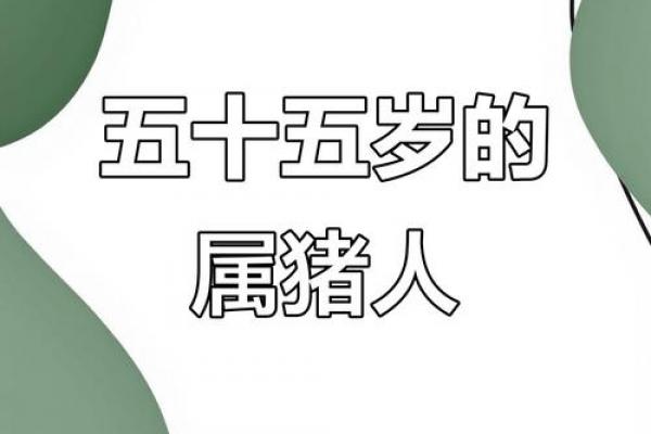 1971年属猪人马年运势解析