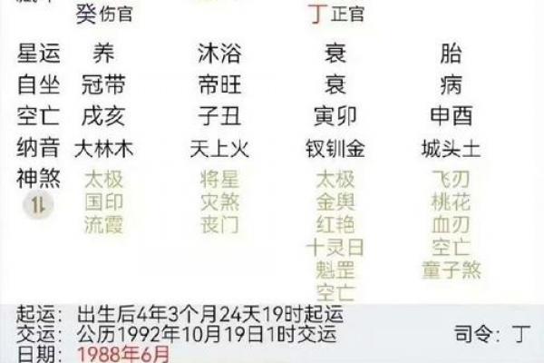 金兔命最吉的三大时辰