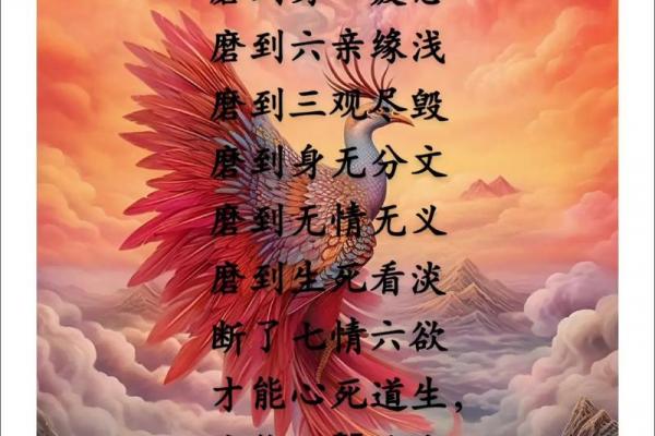 女命无火非寻常人