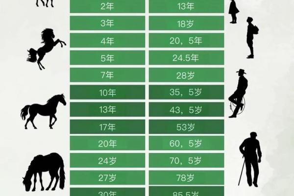 腊月出生的马命格常人难驾驭