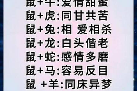 属鼠女性送亲最佳选择