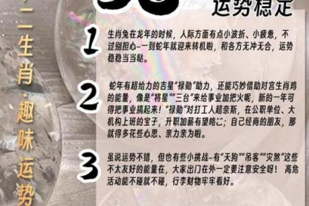 生肖兔人群最适宜从事哪些副业，属兔者理想副业推荐