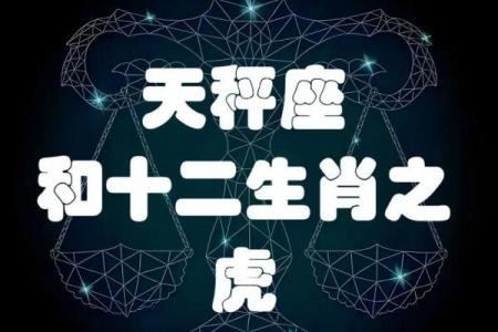 虎女最看不上哪个生肖男