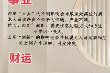 属龙人一生财运解析