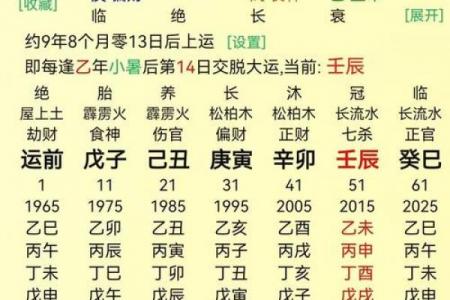 辛巳日柱女命一生三大劫