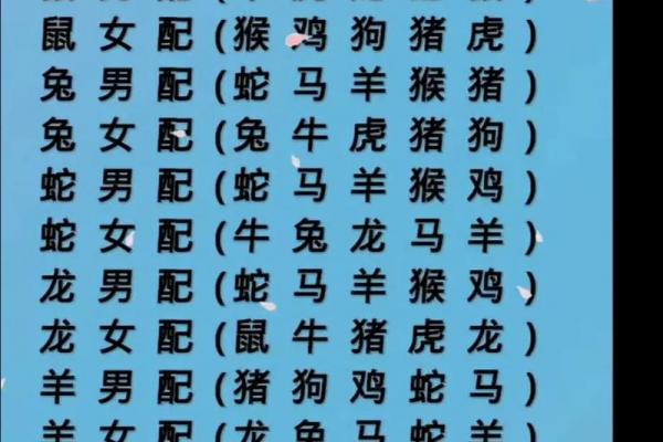属鸡的对头是属狗的吗