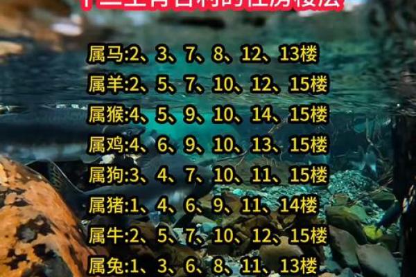 属龙金命者适宜居住的楼层选择