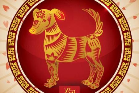 属狗者马年运势解析
