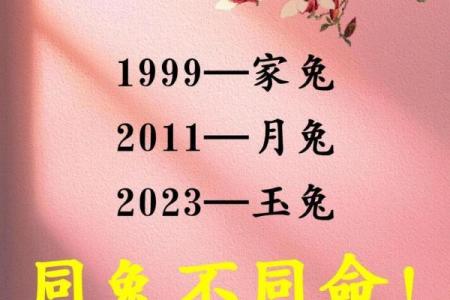 男兔二月出生的禁忌