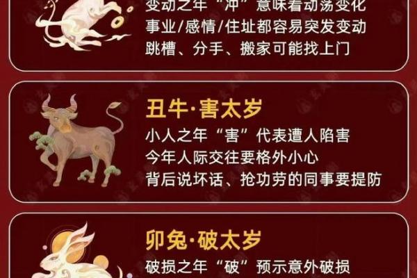 2026年属马者流年运势与灾厄走向分析
