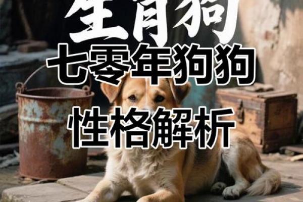 70年属狗女性最难熬的年龄段