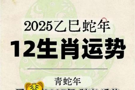 属虎人最旺运的年份