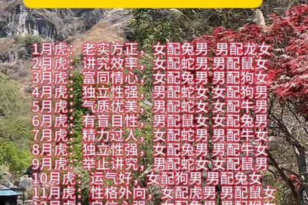 属虎人适合住西户吗