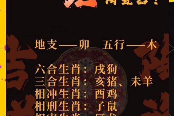 属兔者招惹何人最凶猛