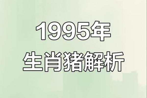 95年属猪者婚姻中的几次坎坷