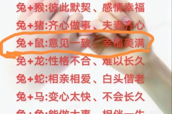 鼠男终生守护哪一属相女子