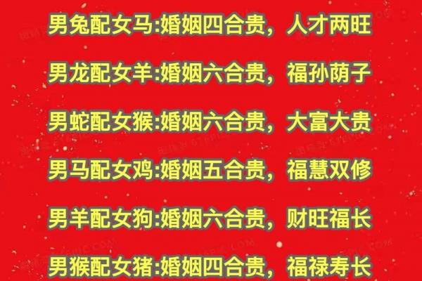 鼠男终生守护哪一属相女子