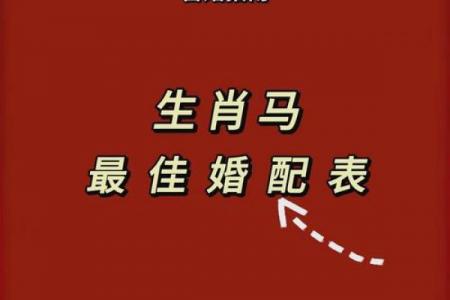 属马者2026年婚恋运势解析