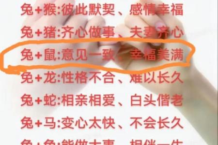鼠男终生守护哪一属相女子
