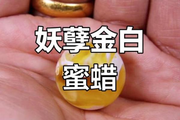 什么物品最助白蜡金命