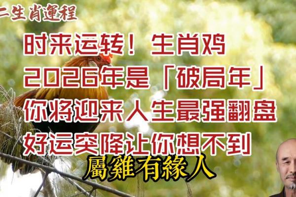 2026年属鸡者的命运转折点
