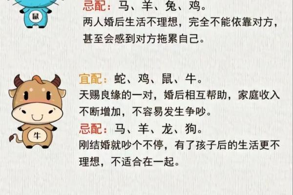 哪个属相男能与鸡女相伴一生
