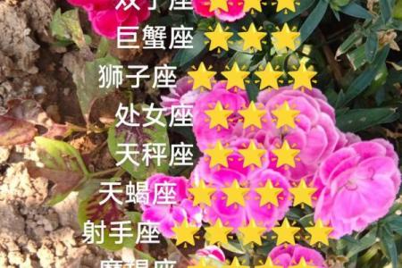 属龙白羊座今日运势