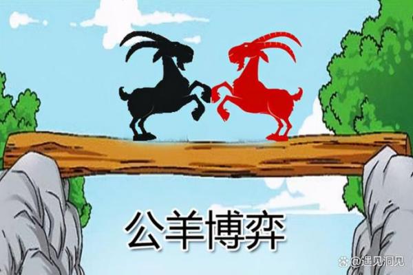 火羊与火羊能否相配