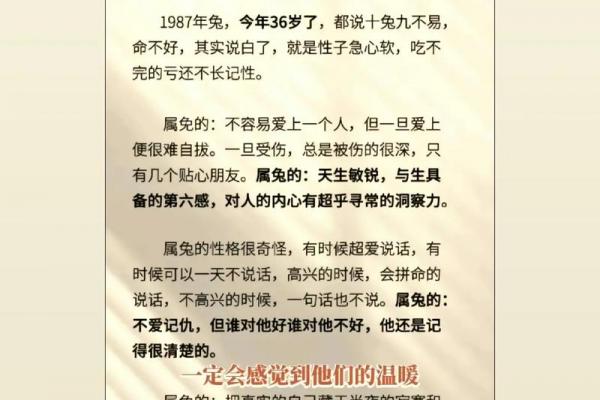 1987年属兔炉中火命详解