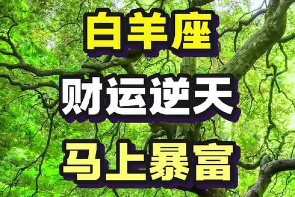 今日白羊座财富运势
