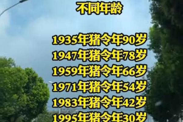 属猪人桃花劫出现在哪一年