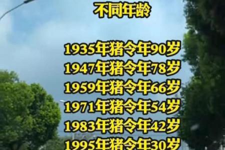 属猪人桃花劫出现在哪一年