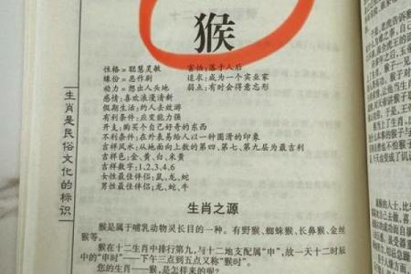 属猴人离婚后能否幸福
