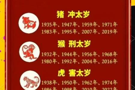 属猪申时降生财运解析