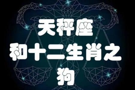 金狗命五行缺什么