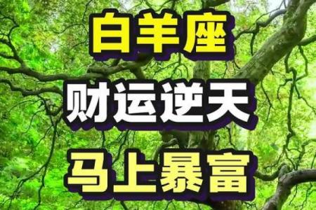 白羊座明日财运预测