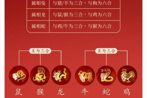 金蛇命与何命最相配