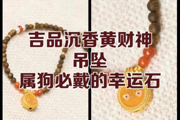 属狗者钱包中放置何物可旺财